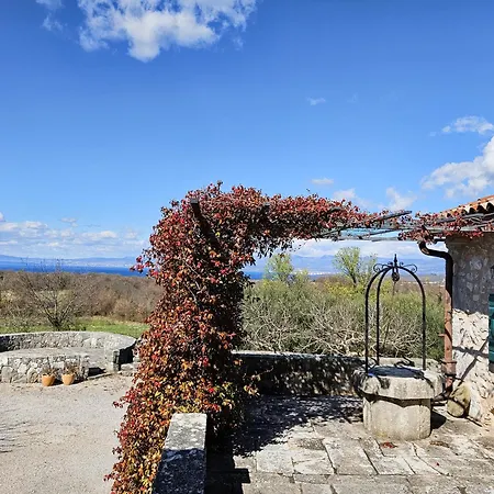 Vila Vicenca Strilcici