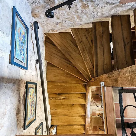 Vicenca * Strilcici